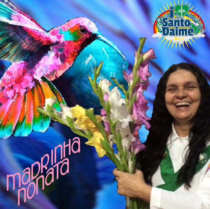 Madrinha Nonata - Presença transparente do beija-flor